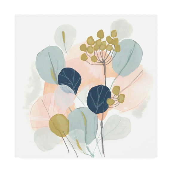 Trademark Fine Art 'Floral Mazurka IV' Canvas Art by June Erica Vess