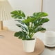 thumbnail image 4 of Artificial Potted Plants Realistic Simulation Green Plants Indoor Home Desk Bookshelf Decor Faux Greenery Decorative Houseplants for Living Room Office, 4 of 6