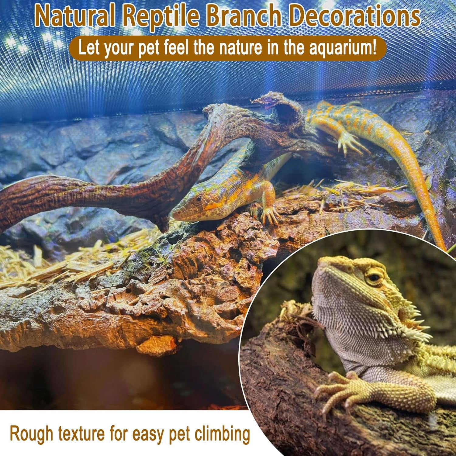 kathson Reptile Forest Climbing Branch Decor, Crested Gecko Climb Wood, Natural Branches Tree for Snake Frog Chameleon Spider Bearded Dragon Terrarium Habitat Tank Accessories,6PCS