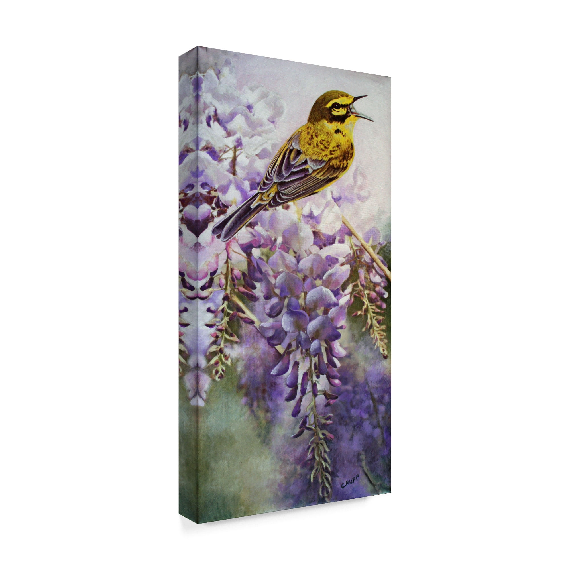 Trademark Fine Art 'Yellow Bird in Wisteria' Canvas Art by Carol J Rupp