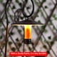 thumbnail image 4 of Greeniant Pantalla de farol, equipo naranja para exteriores, tamaño compacto, forma de lámpara DIY, decoración ampliamente aplicable, carpas, 4 of 6