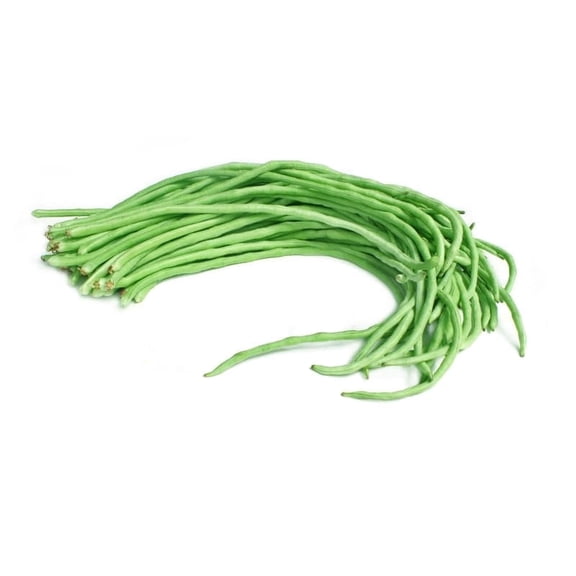 10 Yard Long Bean Seeds - Asian Vegetable Long Bean String Bean - Productive Yielder