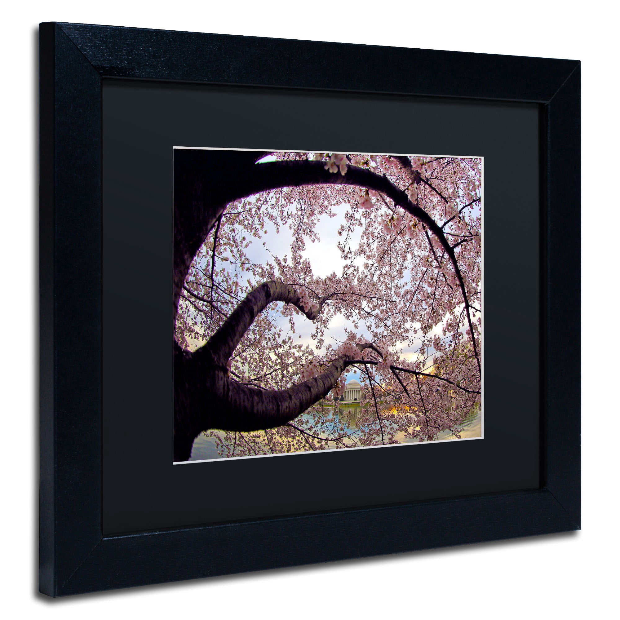 Trademark CATeyes "Cherry Blossoms 2014-1" Art Black Matte W/Black Frame 16" x 20" (MZ0295-B1620BMF)
