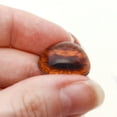 thumbnail image 3 of High Domed Redtail Fox Glass Eyes, 3 of 5