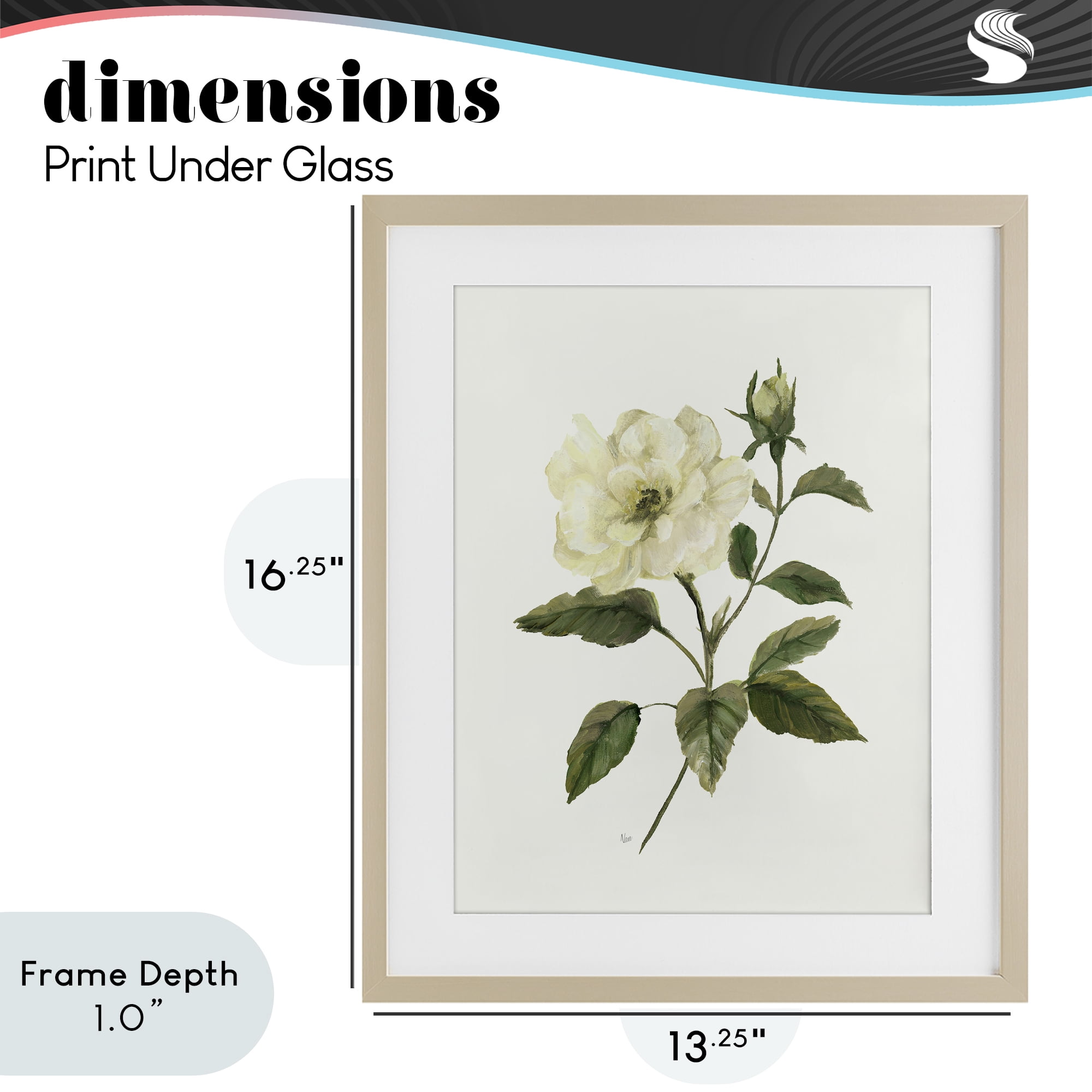 Stupell Industries Ivory Rose Bloom With Green Foliage Birch Framed Print Under Glass, design by Nan