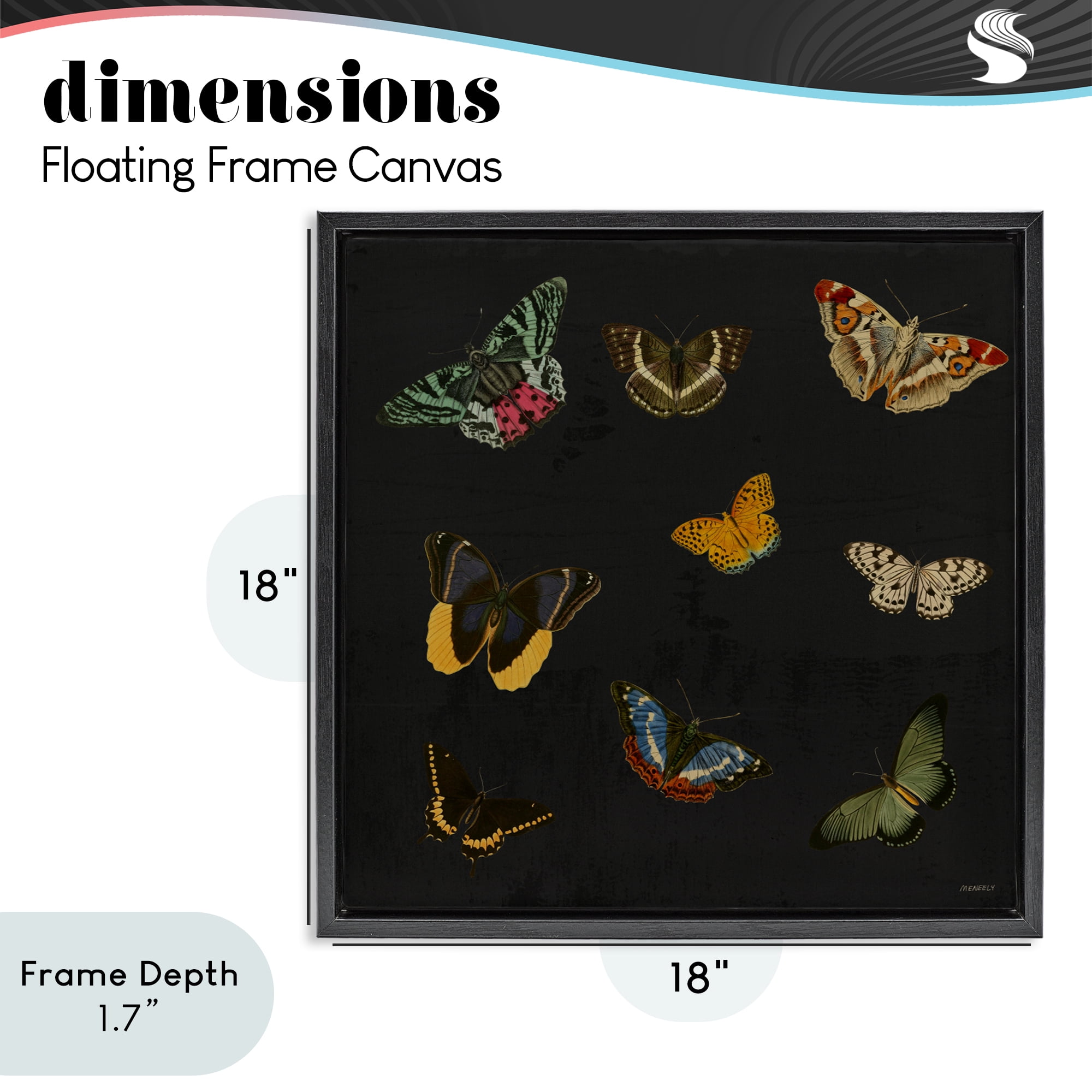 Stupell Industries Butterfly & Moth Collection Black Framed Floater Canvas Wall Art, design by Dan Meneely