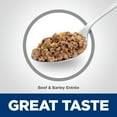 thumbnail image 6 of Hill's Science Diet Beef & Vegetables Wet Dog Food for 7+ Senior Dogs, 12.8oz Can 12pk, 6 of 8