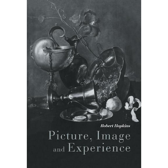 Picture, Image and Experience, (Hardcover)