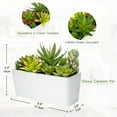 thumbnail image 2 of Artificial Mixed Succulents Plants in White Ceramic Planter Assorted Fake Succulents Plant Arrangements in Pots Faux Succulent Plants Potted Home Decor, 2 of 6