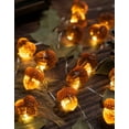 3D Acorn String Lights Indoor, 10 feet 30 LEDs 8 Modes with Remote Fall