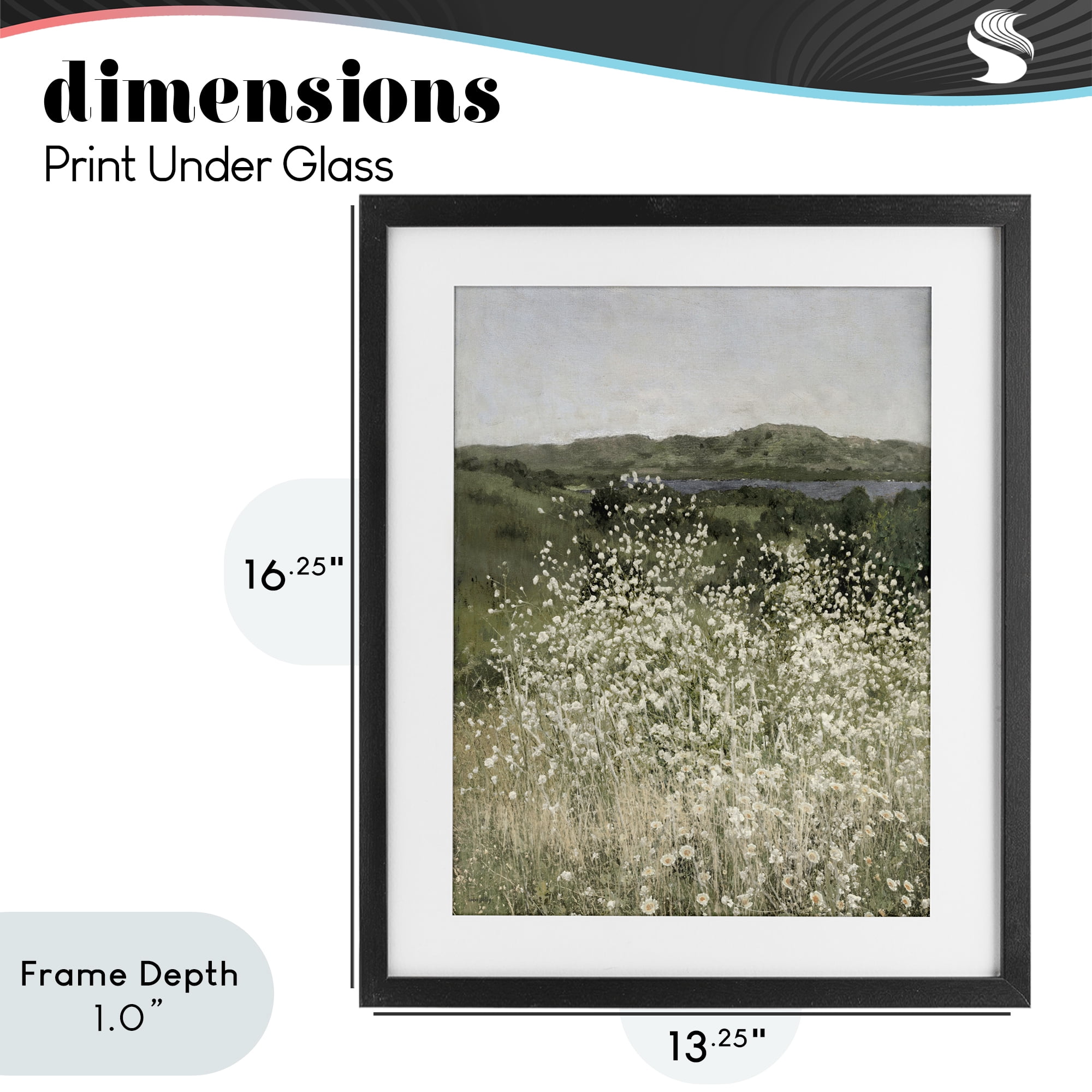 Stupell Industries Sunlit Meadow of White Daisies Black Framed Print Under Glass, design by Amber Sterling