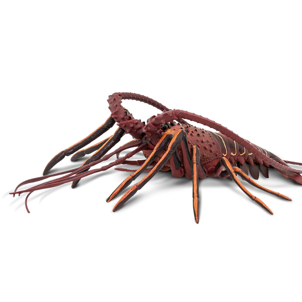 SAF100076 Safari Ltd Spiny Lobster 