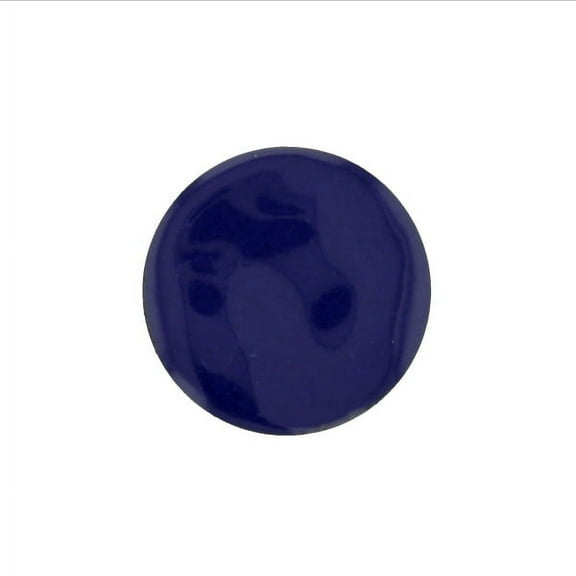 1698 Darkest Blue Thompson Opaque Enamel 1 Ounce