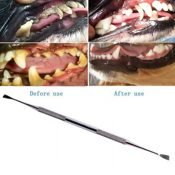 Stainless Steel Double Ended Dental Calculus Removal Tool Dog Tooth Scraper Plaque Tartar Remover Tooth Scaler For Dogs And Cats Walmart