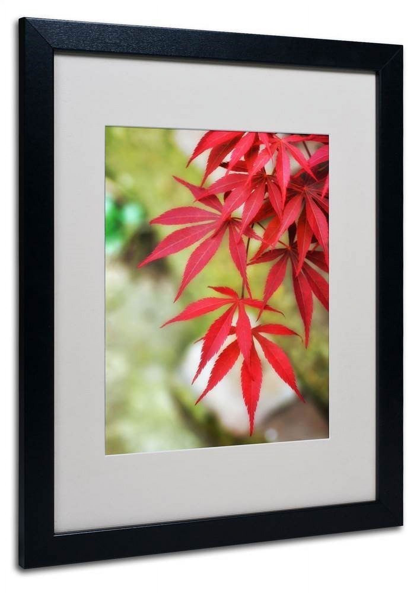 Trademark Fine Art "Japanese Maple" Canvas Art by Philippe Sainte-Laudy, Black Frame