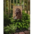 thumbnail image 2 of Carolines Treasures SC9546GF Boykin Spaniel Fall Leaves Flag Garden Size, 2 of 3
