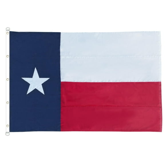 Flag Homissor Texas, 3 x 4,5 m, nailon, 100% bordado, cosido