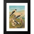 thumbnail image 2 of Johann Friedrich Naumann 11x14 Black Modern Framed Museum Art Print Titled - Saxicola Stapazina, Saxicola Aurita, Saxicola Oenanthe, 2 of 5