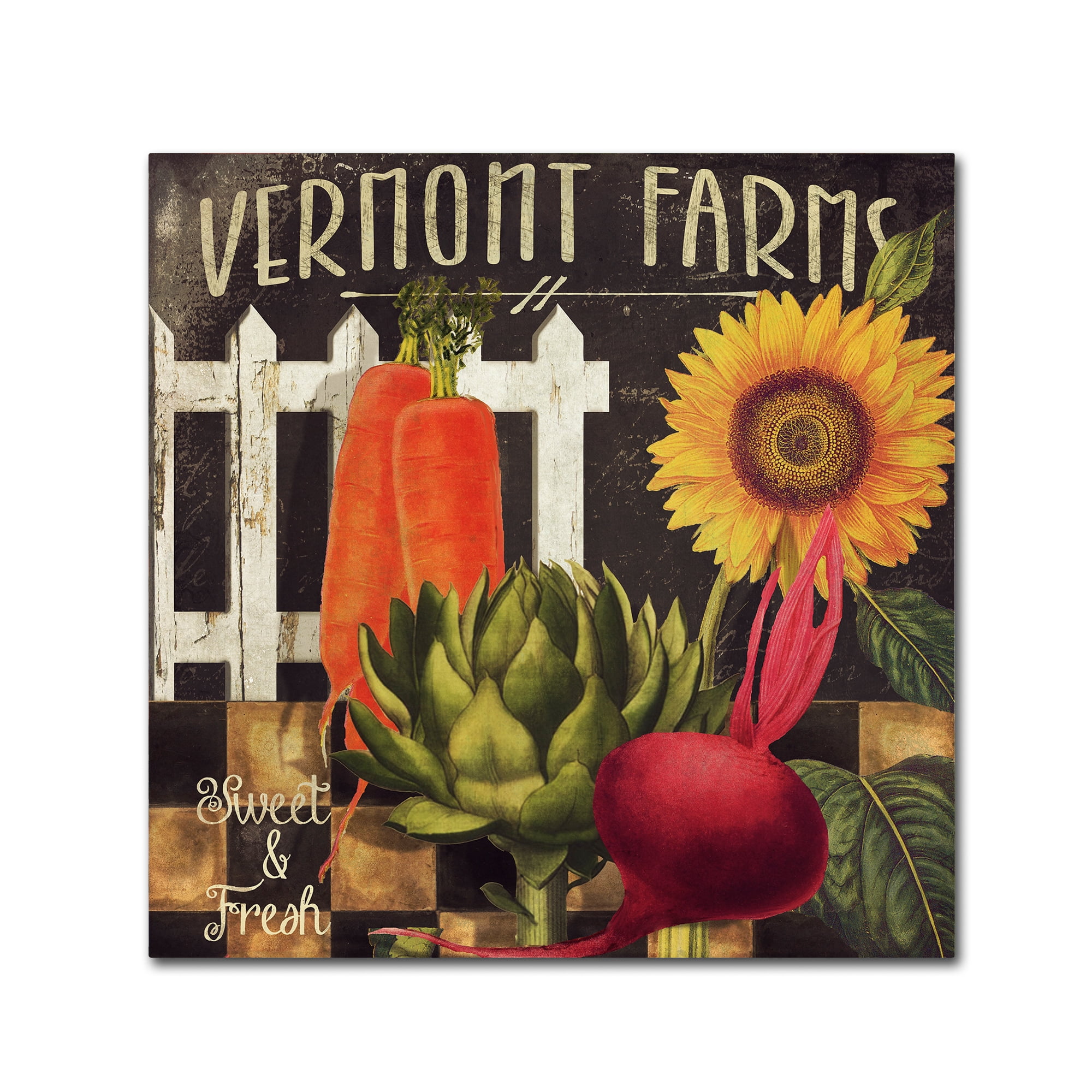 Trademark Fine Art "Vermont Farms VIII" Canvas Art by Color Bakery