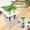 Black, variant on Juanioy Hydroponic Grow Box 6-Hole Planting System Home Herb Planter Vegetable Cultivation Kit for Indoor Gardening