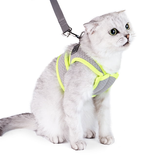 Correa para gatos, para pasear y escapar, correa ajustable para chaleco para gatos