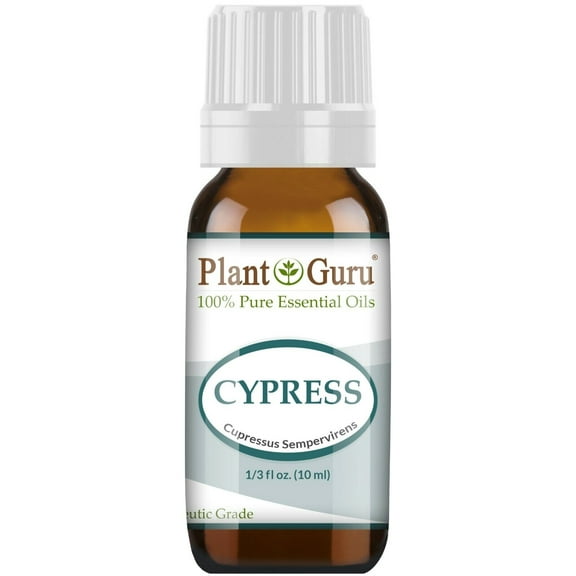 Cypress Essential Oil 10 ml 100% Pure Undiluted Therapeutic Grade