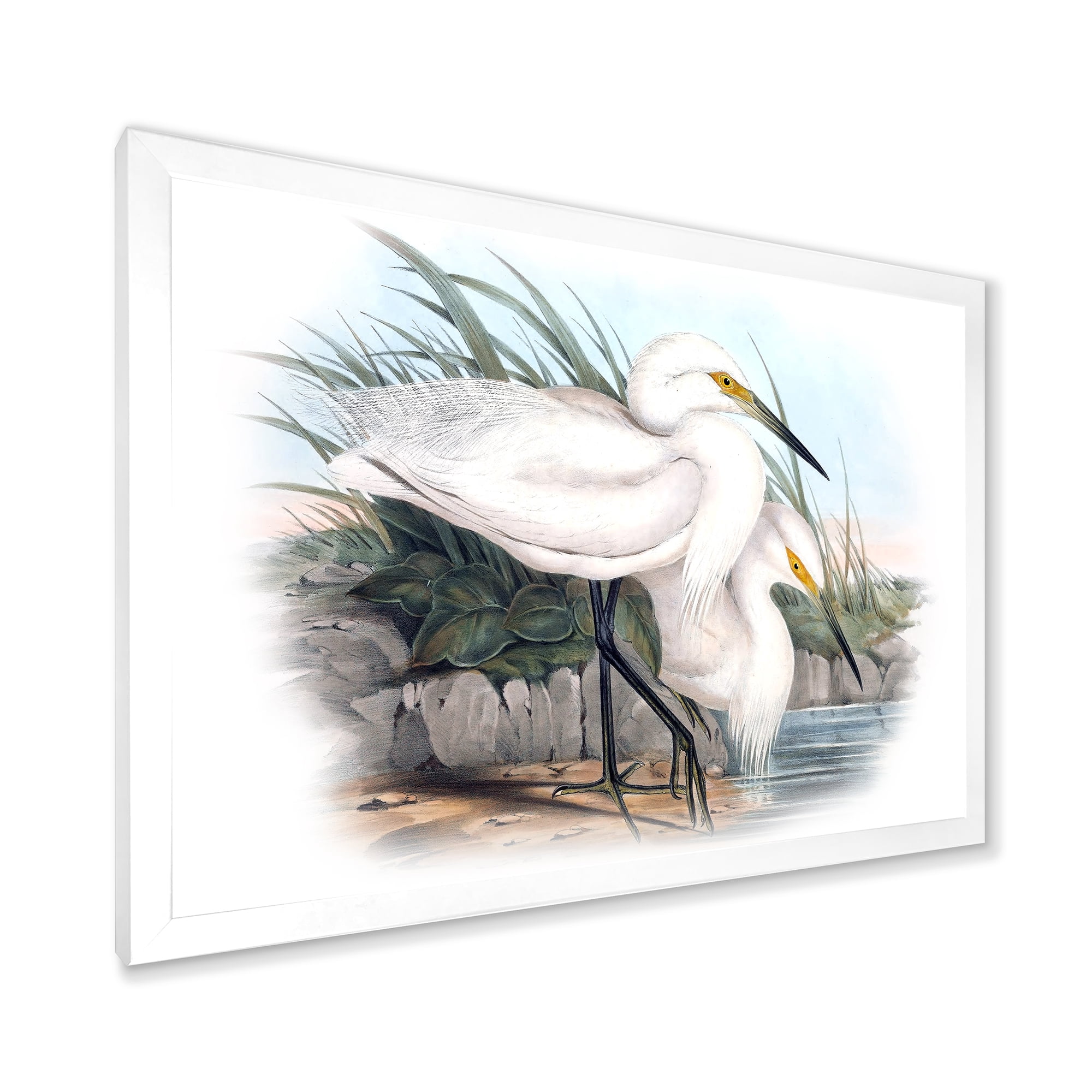 Designart 'Ancient Bird Life I' Traditional Framed Art Print
