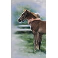 thumbnail image 2 of Harrison, Lesley 12x18 White Modern Wood Framed Museum Art Print Titled - Emily and the Foal, 2 of 4