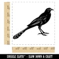 thumbnail image 2 of Brash Great-Tailed Grackle Black Bird Self-Inking Rubber Stamp Ink Stamper - Red Ink - Large 1-1/2 Inch, 2 of 7