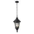 thumbnail image 1 of Z-Lite 545CHM-BK Outdoor Chain Light, 1 of 2