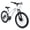White, variant on Ambifirner 24 Inch 21 Speed Mountain Bike, Adult Mountain Bicycle with Front Suspension, Dual Disc Brakes, Steel Frame, Non-Slip Tires for Men Women Outdoor Cycling