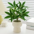 thumbnail image 5 of Luxcidy Fake Plants Ceramic Mini Artificial Greenery Potted Plants, Simulated Green Decoration Small Potted Plants for Home Decor Indoor Office Table Room Farmhouse Bathroom Decor, 5 of 6