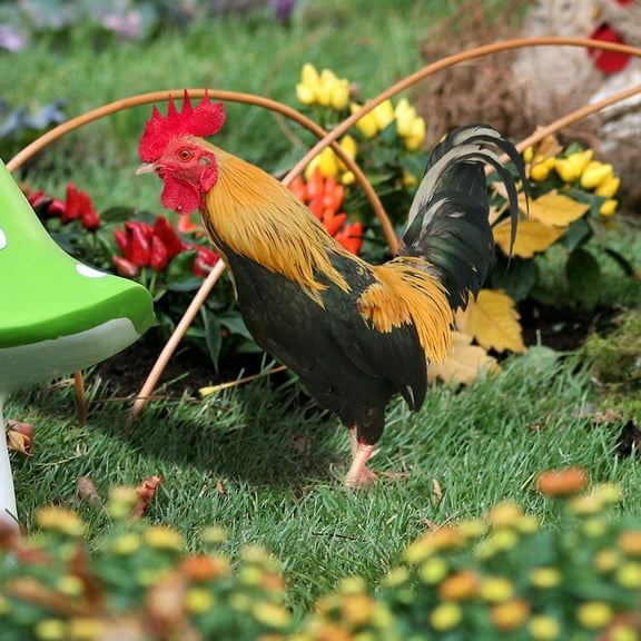 HOMEMAXS 2Pcs Acrylic Hen Rooster Yard Arts Decorative Chicken Shaped Yard Stake Lawn Hen Stakes