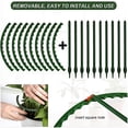 thumbnail image 2 of Small Plant Support Plant Stakes Garden Flowers Green Plant Support Ring Planter Support Ring For Schlumbergera Clivia Vegetables, 2 of 7