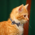 thumbnail image 4 of HLONK Collier pour Chat avec Clochette Nœud Papillon Boucle de Sécurité Chaton Chiot 7-11 Po Mobile Réglable, 4 of 5