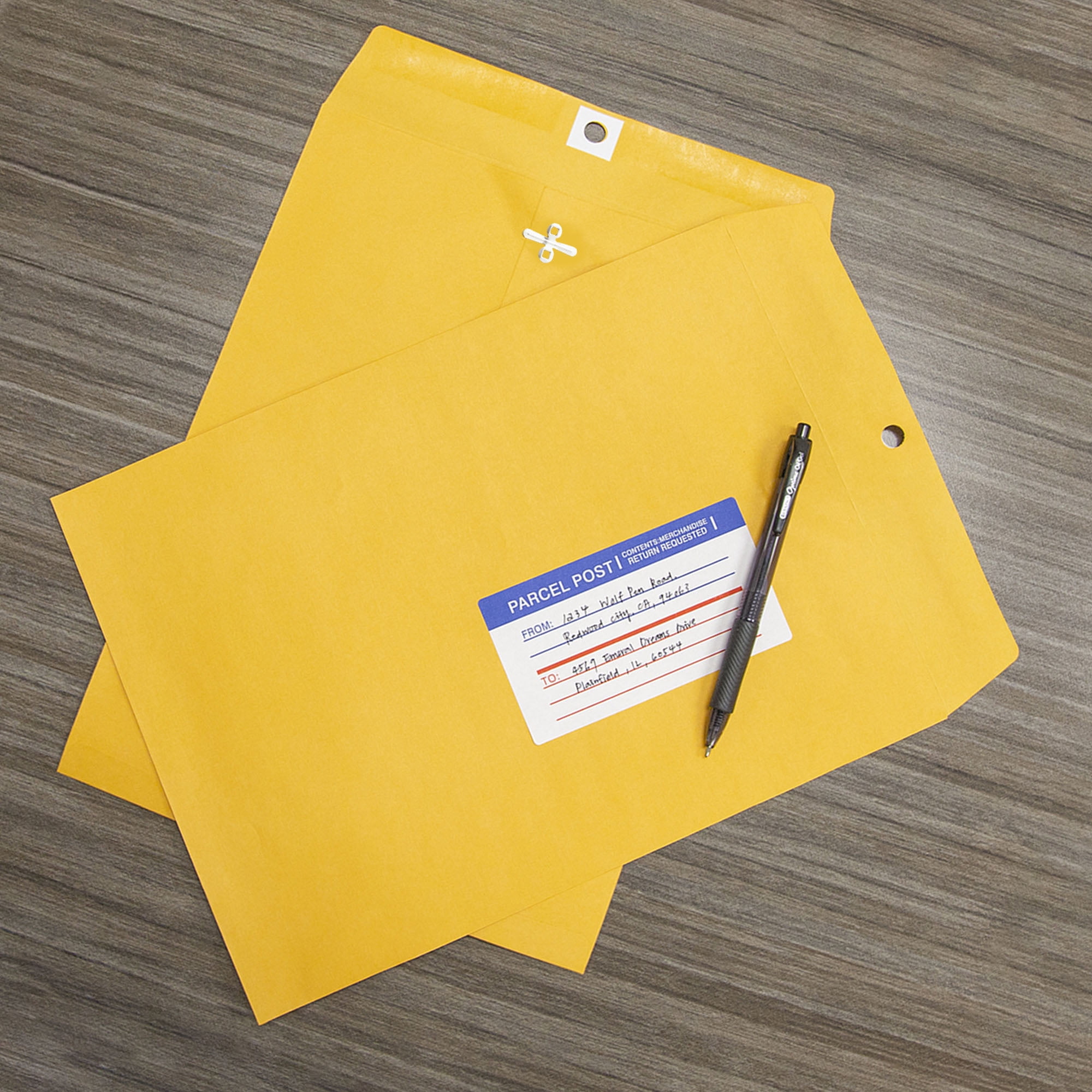 BAZIC Catalog Envelope 10" x 13" Gummed Seal Eyelet Closure, 500-Count