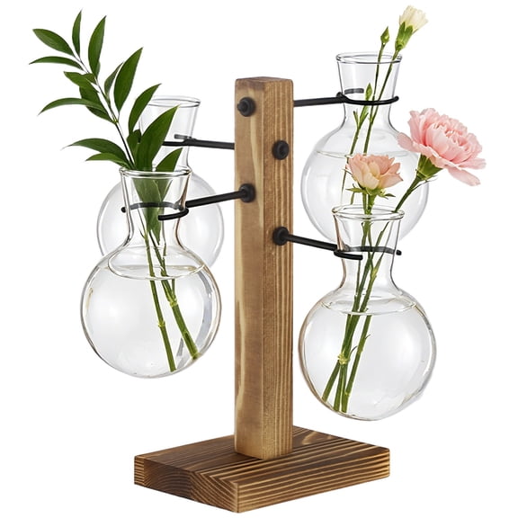 Hydroponic Plant Propagation Station, 4 Clear Round Glass Vases with Solid Wood Base, Mini Landscape Decor Set for Desktop Ornament, Home Garden Display, Ideal Choice for Plant Lovers