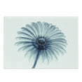 thumbnail image 1 of Flower Cutting Board, Photo of a Daisy Flower with X-rays Different Look to the Plants in Nature Art Print, Decorative Tempered Glass Cutting and Serving Board, Large Size, Teal White, by Ambesonne, 1 of 1