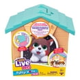 thumbnail image 1 of Little Live Pets My Puppy's Home Minis - Teal & Orange, 1 of 9