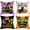 Cat Halloween, variant on Happy Halloween Decorative Throw Pillow Covers 18 x 18 Set of 4, Trick or Treat Pumpkin Truck Porch Patio Outdoor Pillowcase, Jack O Lantern Bat Spider Fall Holiday Cushion Case Home Decor