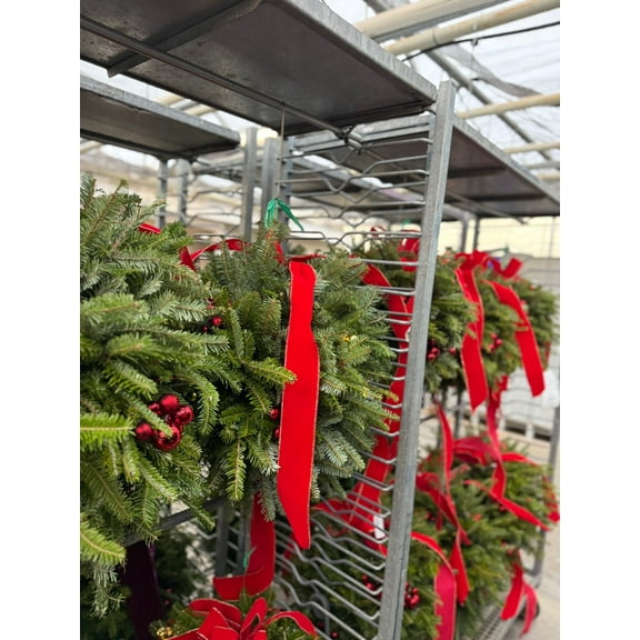 Kissing Ball, 14" Balsam/Fraser Fir, Red Each