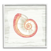 Stupell Industries Patterned Nautilus Shell Animals & Insects Painting White Framed Art Print Wall Art, 12 x 12