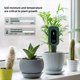 thumbnail image 3 of Probador de Suelo Zigbee Tuya, Medidor de Humedad y Temperatura Solar, Sensor de Suelo Inteligente, Monitor Inalámbrico para Plantar Jardinería en Macetas, 3 of 5