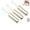 silvery*3, variant on Heart Magnet for Cat Eye Gel Polish,Cat Eye Magnet for Nails, Cat Eye Gel Nail Polish Magnet, Y-Shaped Guide Sticks, Cat Eye Magnetic Nail Art Tool Setmagnet Sticks,Magnetic Nail Art Tool