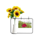 thumbnail image 1 of Rojo Cosmos Tarjeta de bendición de jarrón de girasol artificial, 1 of 3