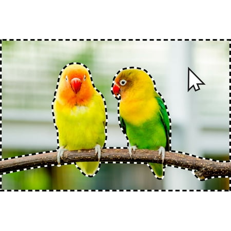 Adobe - Photoshop Elements 2024 - Windows [Digital]