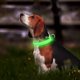 thumbnail image 2 of 1 collar luminoso verde de tamaño mediano para perros, recargable, para mantener a tu perro o gato pequeño visible y seguro., 2 of 5