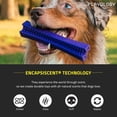 thumbnail image 3 of Barra masticable dental Playology Silver de Dog Toy para perros mayores, 3 of 7