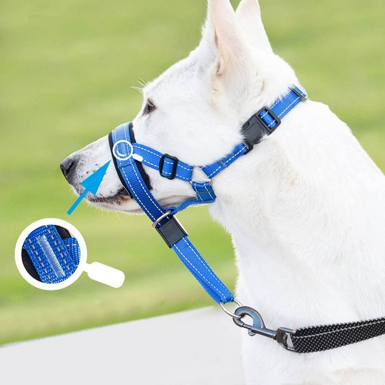 Muzzle lead hot sale