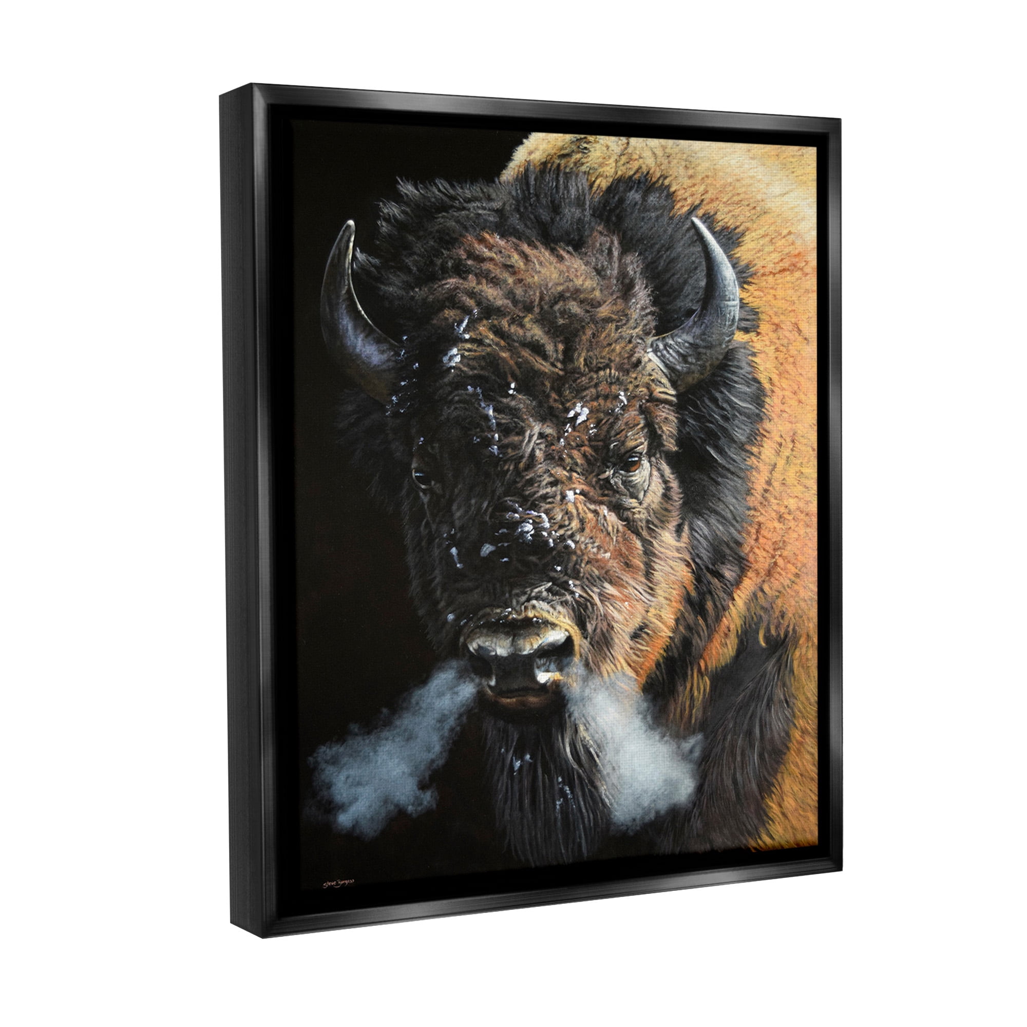 Stupell Industries Bison Breathing Steam Animals & Insects Photography Black Floater Framed Canvas Art Print Wall Art, 17 x 21